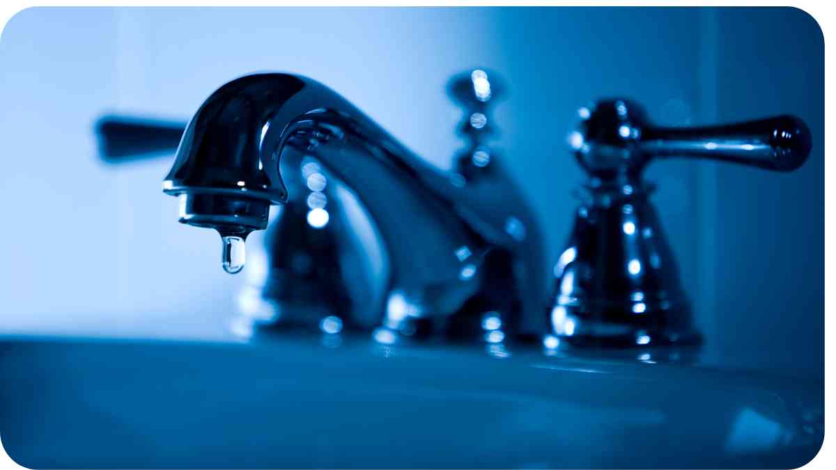 Fixing a Leaky Moen Faucet: Step-by-Step Guide